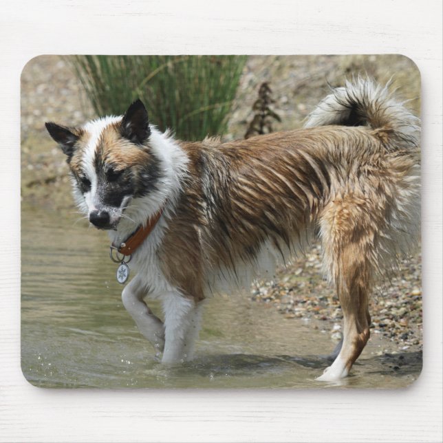 Mousepad Islandhund (Frente)