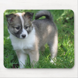 Mousepad Islandhund