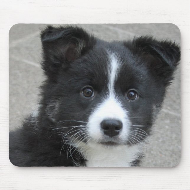 Mousepad Islandhund (Frente)