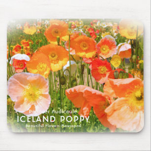 Mousepad Islândia Poppy