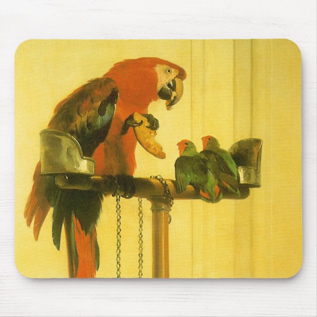 Mousepad Islay, Tilco, Macaw and Love Birds de Landseer (Frente)