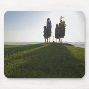 Mousepad Itália, Toscana, Ciprestes na Toscana com