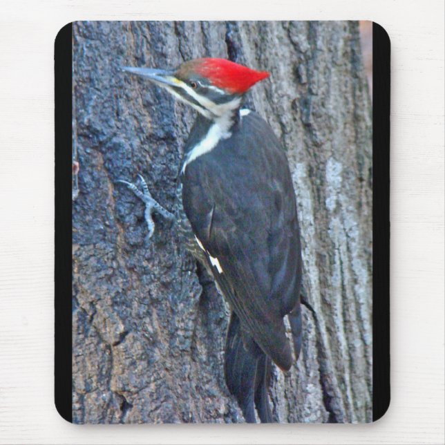 Mousepad Itens Coordenados do Pica-Pau Pileado (Frente)