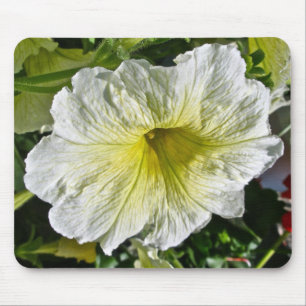 Mousepad Itens de Coordenação da Série Petunia Branca