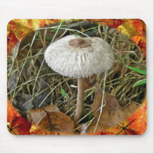 Mousepad Itens de Coordenação do Cogumelo de Parasol Bran