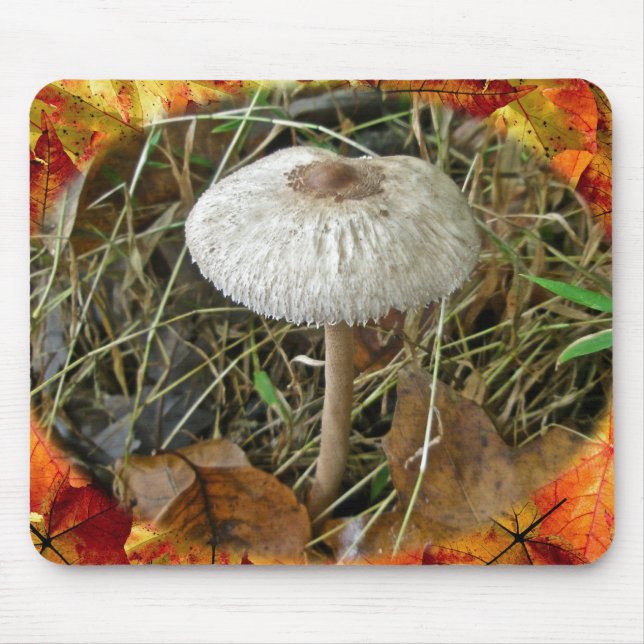 Mousepad Itens de Coordenação do Cogumelo de Parasol Branco (Frente)