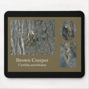 Mousepad Itens de Coordenada do Passageiro Marrom Creeper
