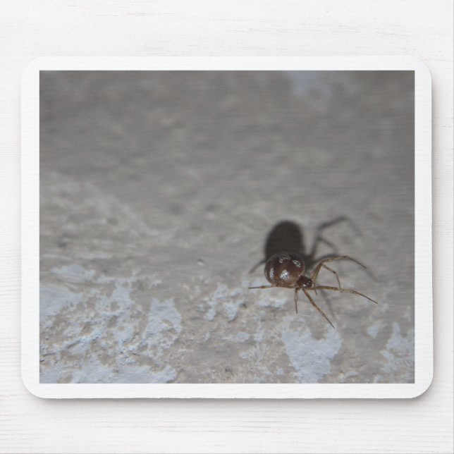Mousepad Itsy Bitsy Spider (Frente)