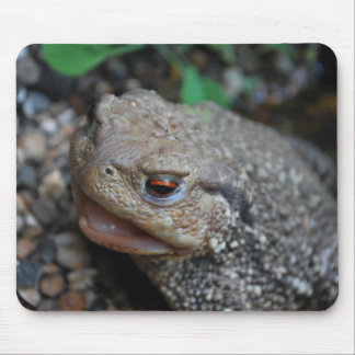 Mousepad Jabba o sapo