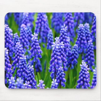 Mousepad Jacintos de uva