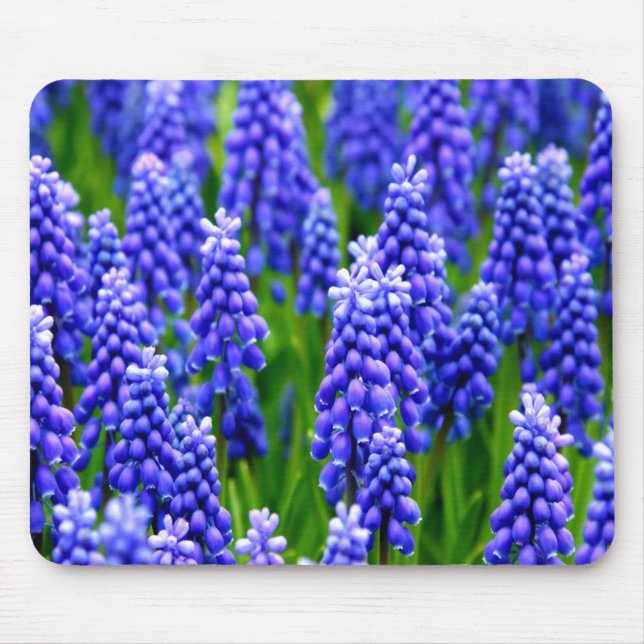 Mousepad Jacintos de uva (Frente)