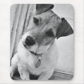 Mousepad Jack Russell Terrier