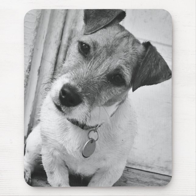 Mousepad Jack Russell Terrier (Frente)