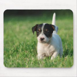 Mousepad Jack Russell Terrier cachorrinho