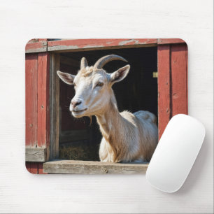 Mousepad Janela De Ir Para A Barragem