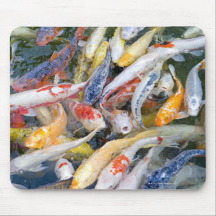 Mousepad Japão, Tokyo, peixe da natação do fim-acima