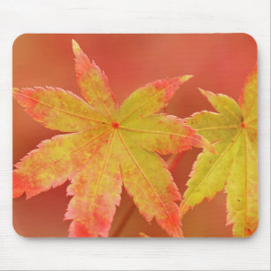 Mousepad Japonês Maple Leaf