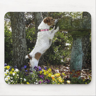 MOUSEPAD JAQUE RUSSELL TERRIER