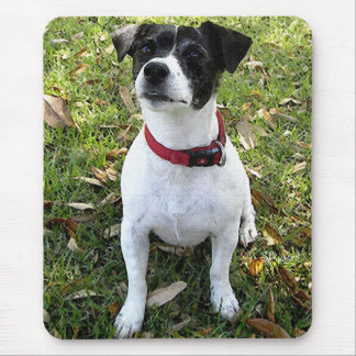 MOUSEPAD JAQUE RUSSELL TERRIER