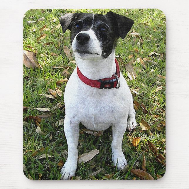 MOUSEPAD JAQUE RUSSELL TERRIER (Frente)