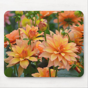Mousepad Jardim alaranjado da dália