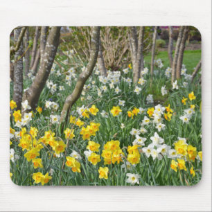 Mousepad Jardim bonito do daffodil do primavera