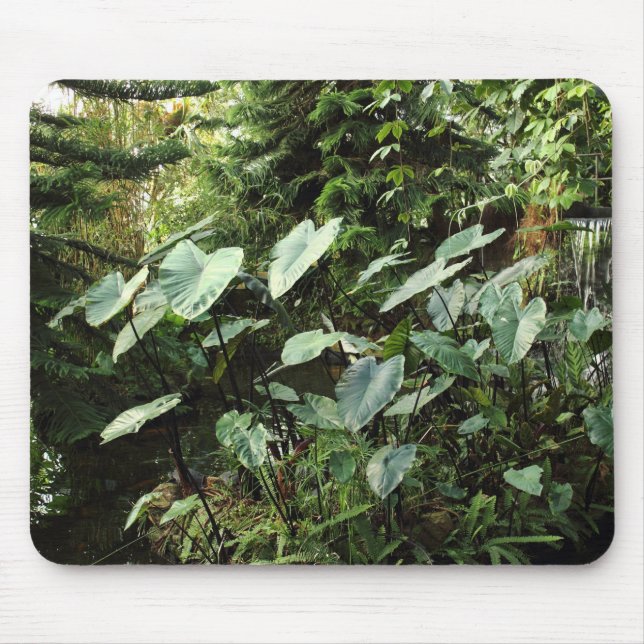 Mousepad Jardim Botânico (Frente)