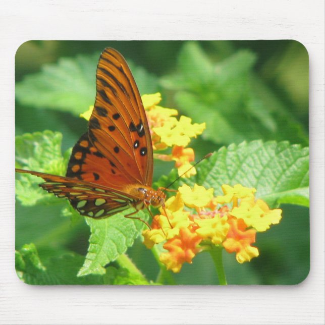 Mousepad Jardim da Borboleta (Frente)