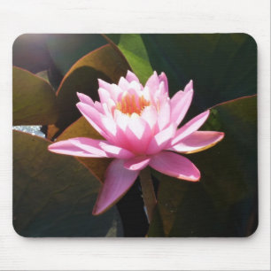 Mousepad Jardim de Água Floral Rosa-Rosa Solha