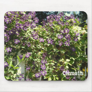 Mousepad Jardim de Clematite Roxa