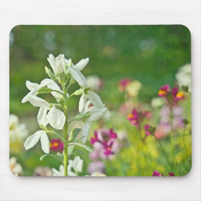 Mousepad Jardim de Fragrância (Frente)