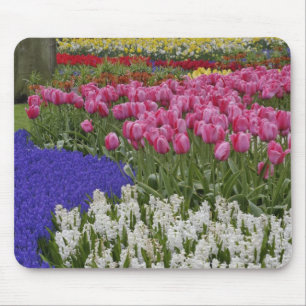 Mousepad Jardim de jacintos de uva, jacintos e tulipas,