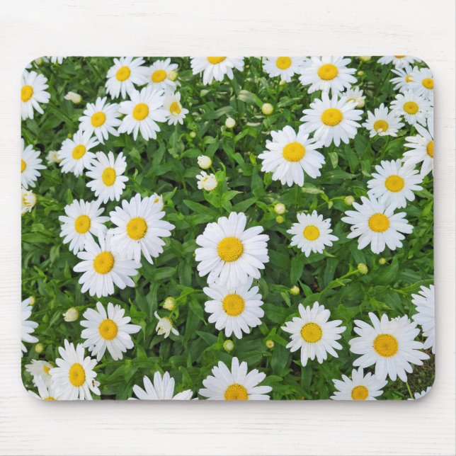Mousepad Jardim de Margarida White Summer (Frente)