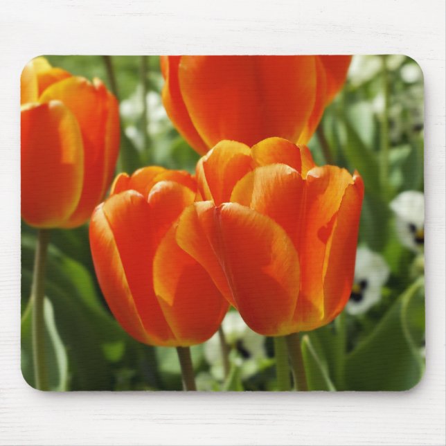 Mousepad Jardim de Tulipas da Primavera (Frente)