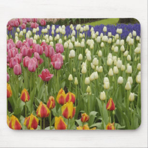 Mousepad Jardim de tulipas e jacintos, Jardins Keukenhof,