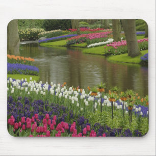 Mousepad Jardim de tulipas e jacintos, Jardins Keukenhof, 2