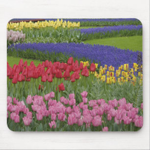 Mousepad Jardim de tulipas, jacintos e