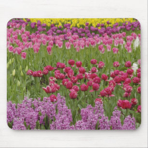 Mousepad Jardim de tulipas, narcisos e jacinto
