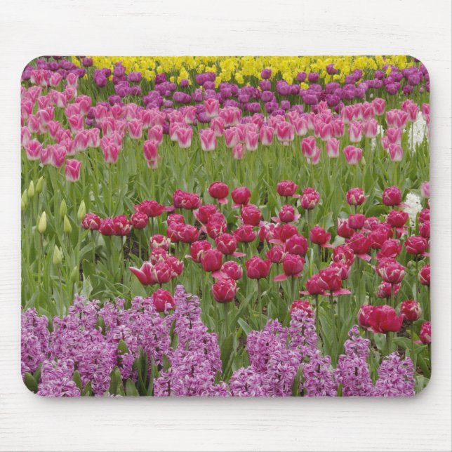 Mousepad Jardim de tulipas, narcisos e jacinto (Frente)