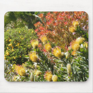 Mousepad Jardim do deserto
