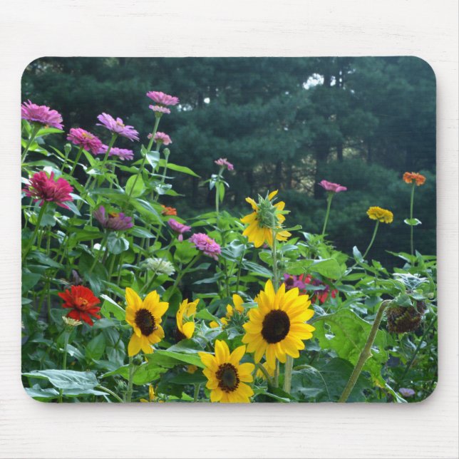 Mousepad Jardim - girassol, margarida, cosmos (Frente)