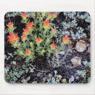 Mousepad Jardim Miniatura no Lago Gem