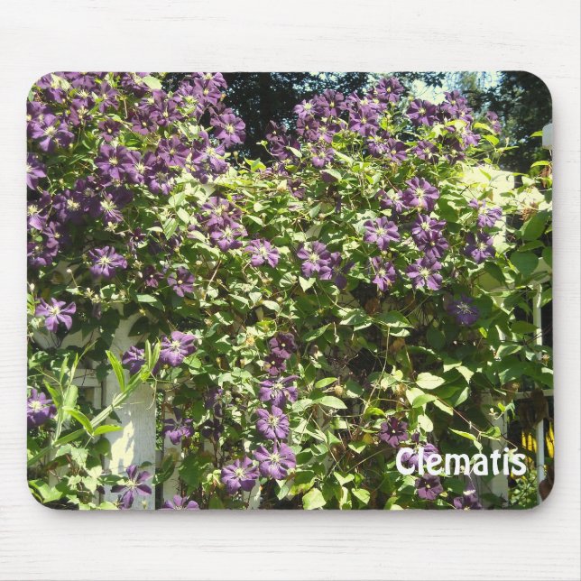 Mousepad Jardim Puro Clematis (Frente)