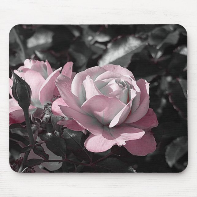 Mousepad Jardim Rosa Rosa Rosa Rosa Rosa Rosa (Frente)