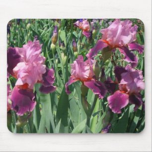 Mousepad Jardim roxo das íris floral