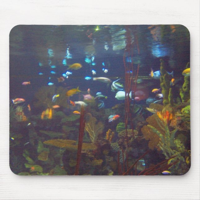 Mousepad Jardim subaquático (Frente)