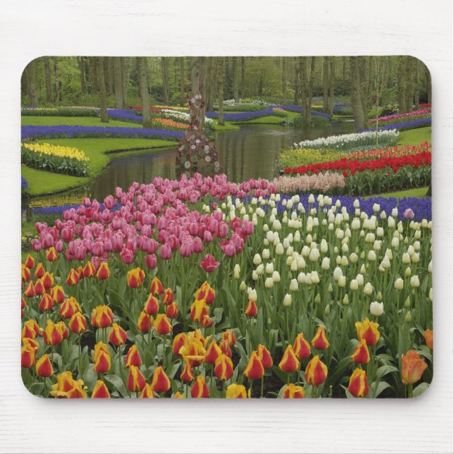 Mousepad Jardim Tulip e Hyacinth, Jardins Keukenhof, (Frente)