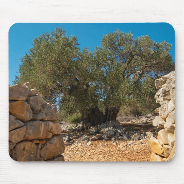 Mousepad Jardins Olivais de Lun (Frente)