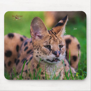 Mousepad Jax