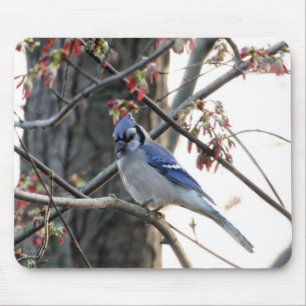 Mousepad Jay azul